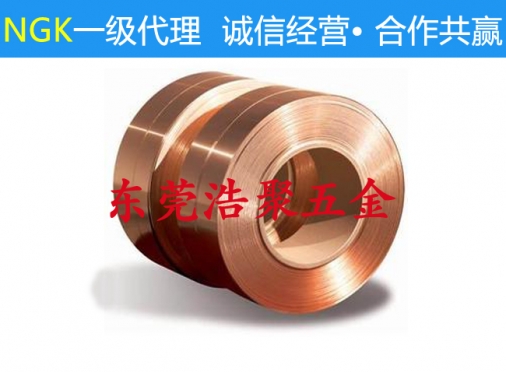 广安日本进口钛铜带